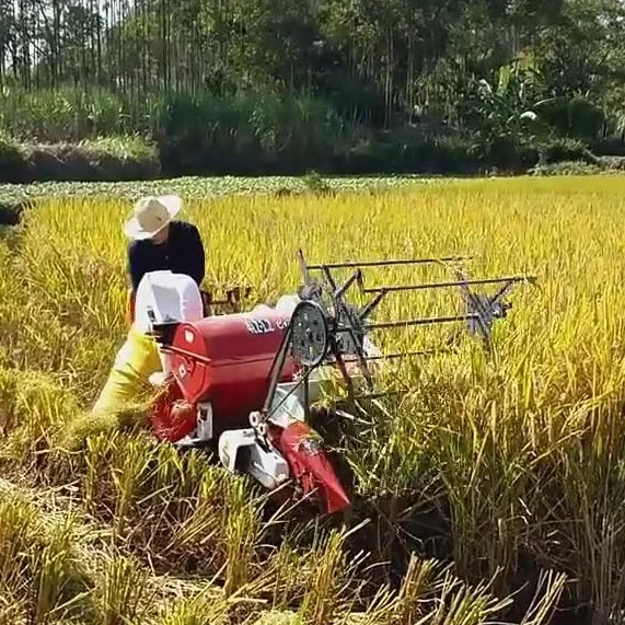 Combine Harvester Mini - Máquina automática de colheita de arroz