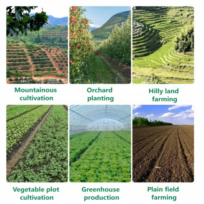 Plantadora Manual de Precisão  - Farming Agriculture Tools avaliação e preço